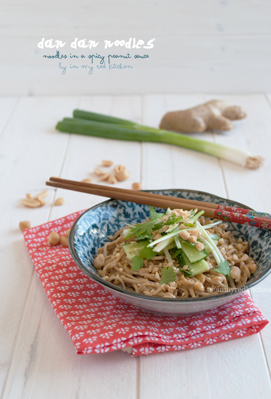 Dan dan noodles, you had me a spicy peanut sauce! | in my Red Kitchen